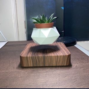 Floating Magnetic Succulent pot